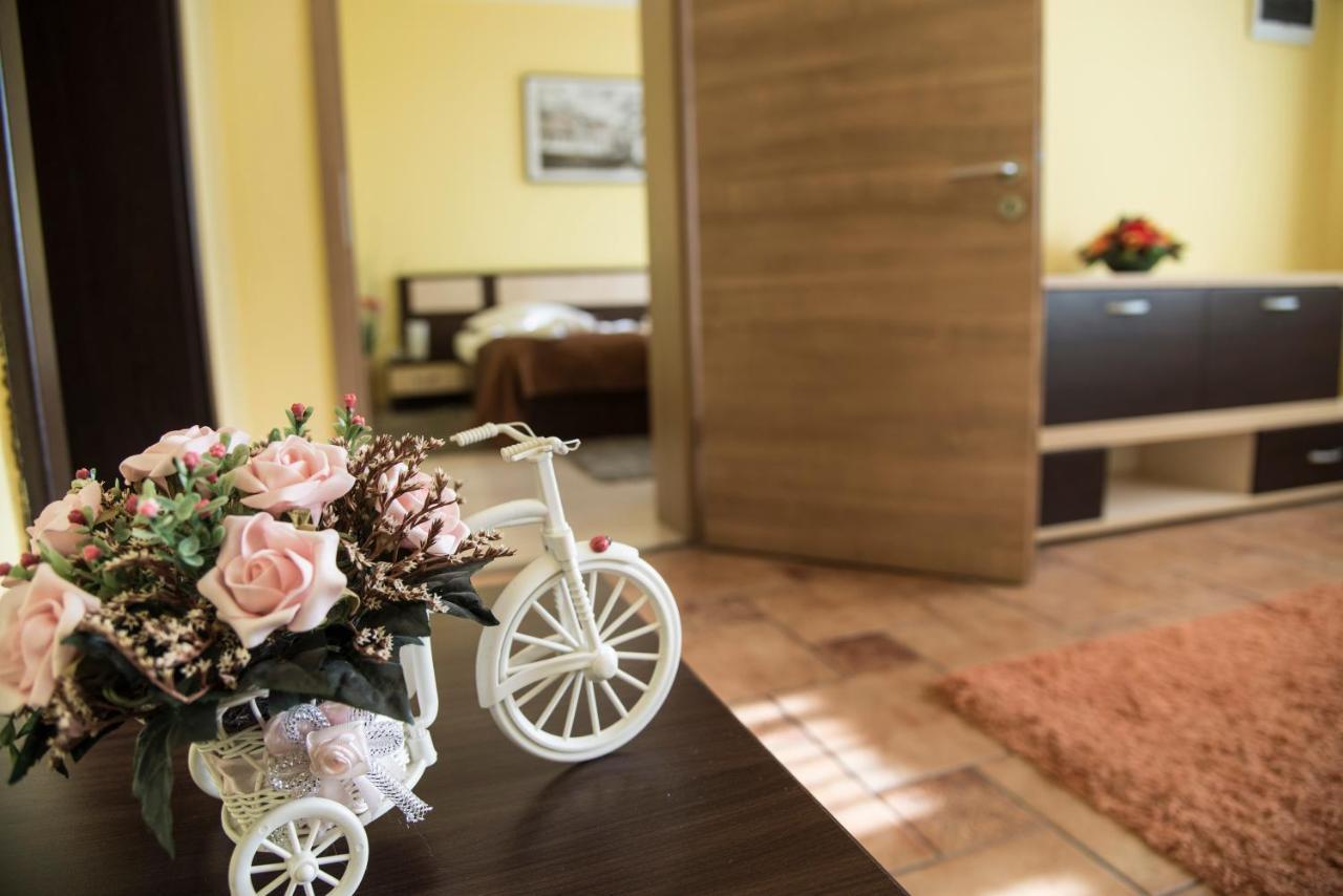 Pensiunea Carmen - Bikers Friendly Nest Sibiu Exterior photo